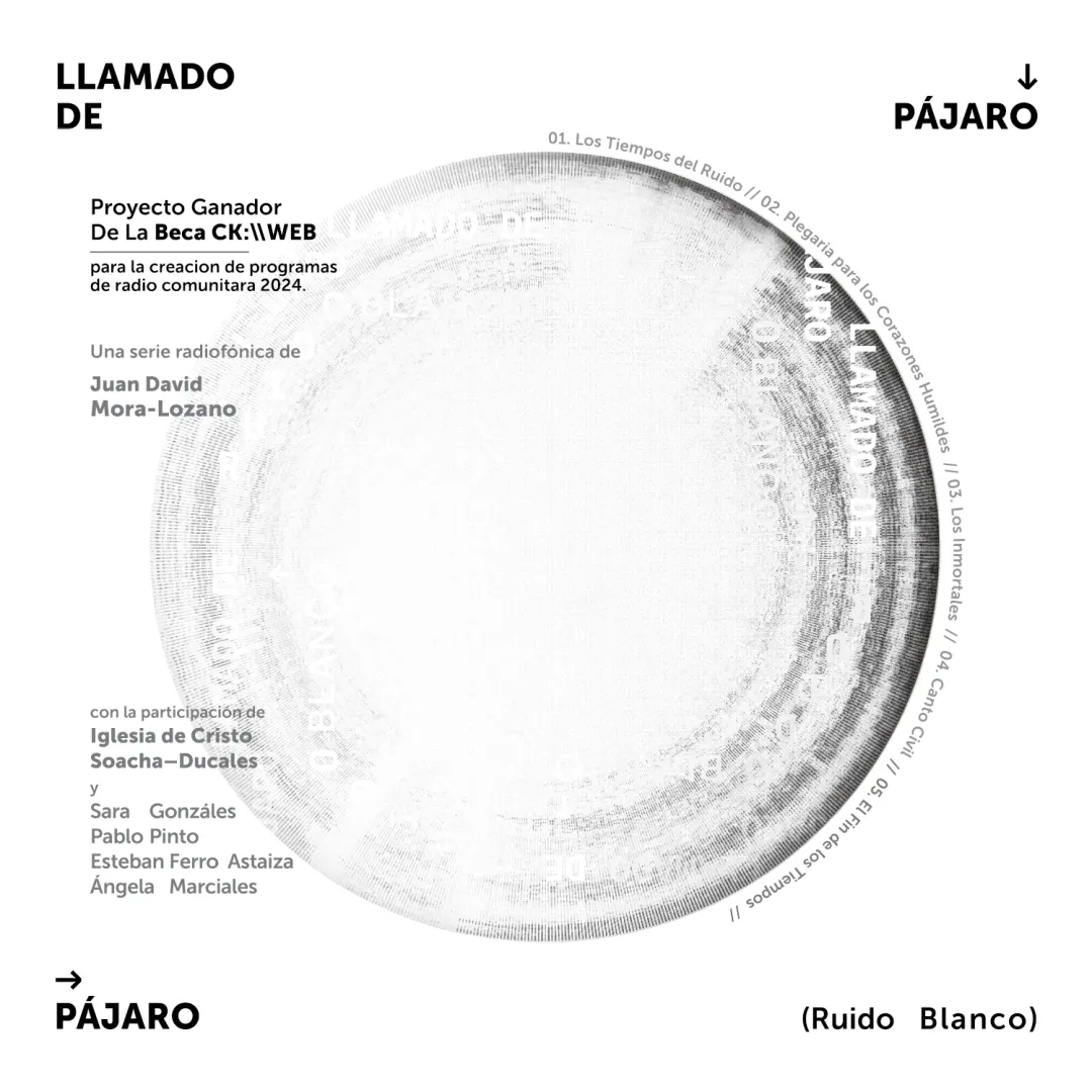 LLamado de Pajaro